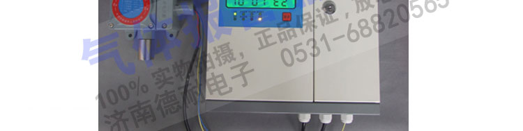 有毒氣體報(bào)警器