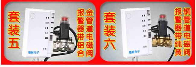 家用燃?xì)庑孤﹫?bào)警器