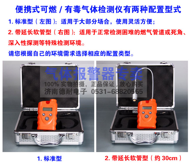 便攜式可燃?xì)怏w檢測(cè)儀