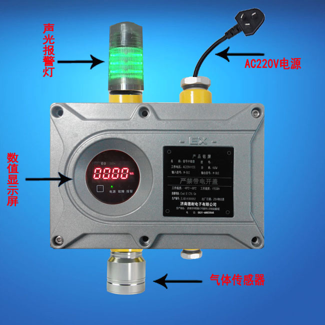 獨(dú)立式可燃有毒氣體報(bào)警器